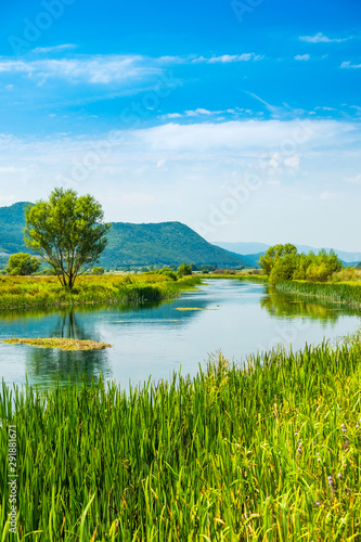 Fototapeta Naklejka Na Ścianę i Meble -  Beautiful nature landscape, Gacka river among grass banks, Lika region of Croatia