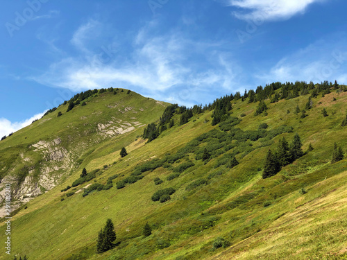 Tierberg mountain above the Oberseetal valley and in the Glarus alps mountain masiff, Nafels (Näfels or Naefels) - Canton of Glarus, Switzerland photo