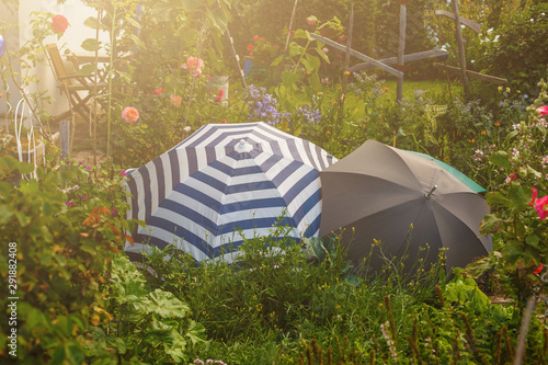 Fotografie outdoor umbrellas lie in the garden and protect the flowers