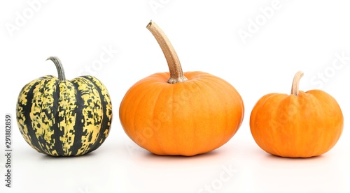 Φωτογραφία Pumpkins.