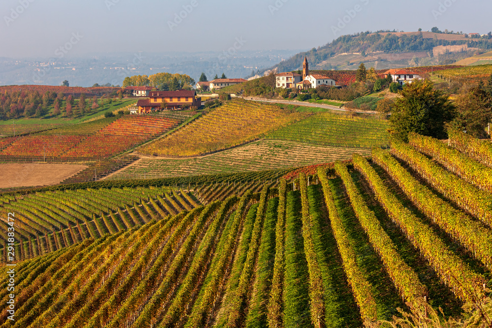Colorful autumnal vineyards near Barolo, Italy.
