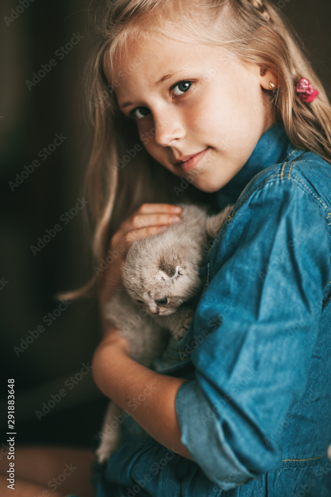 Girl hugs and plays a british little kitten Girl hugs and plays a british little kitten