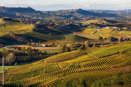 Autumnal vineyards on the hills near Serralunga d'Alba in Italy.