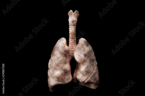 Canvas Print Cigarettes harm your health, lung cancer, no smoking and nicotine addiction conc