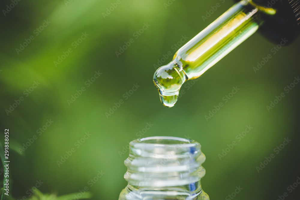 Droplet hemp oil into a glass bottle, CBD Hemp oil, Concept of herbal alternative medicine.Scientific research. Droplet hemp oil into a glass bottle, CBD Hemp oil, Concept of herbal alternative medicine.Scientific research.