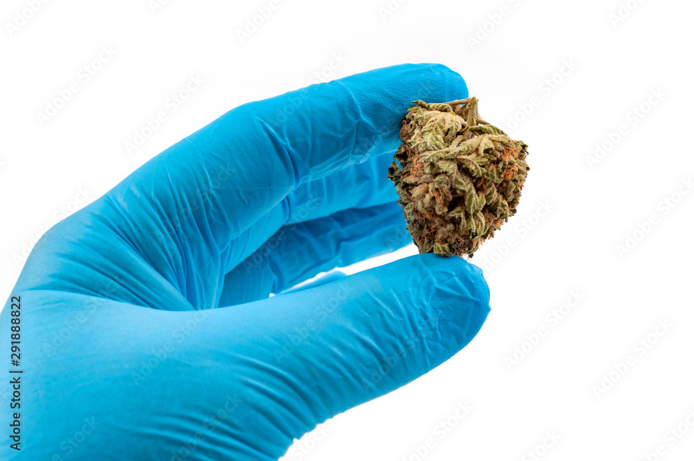 Φωτογραφία Legal marijuana, alternative to drugstore medication and clinical trial in pain