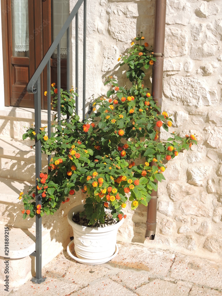 Obraz premium Cisternino