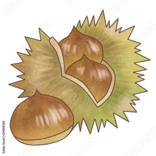 秋の味覚 栗 イラスト素材 水彩風 Stock Illustration Adobe Stock 秋の味覚 栗 イラスト素材 水彩風 Stock Illustration Adobe Stock