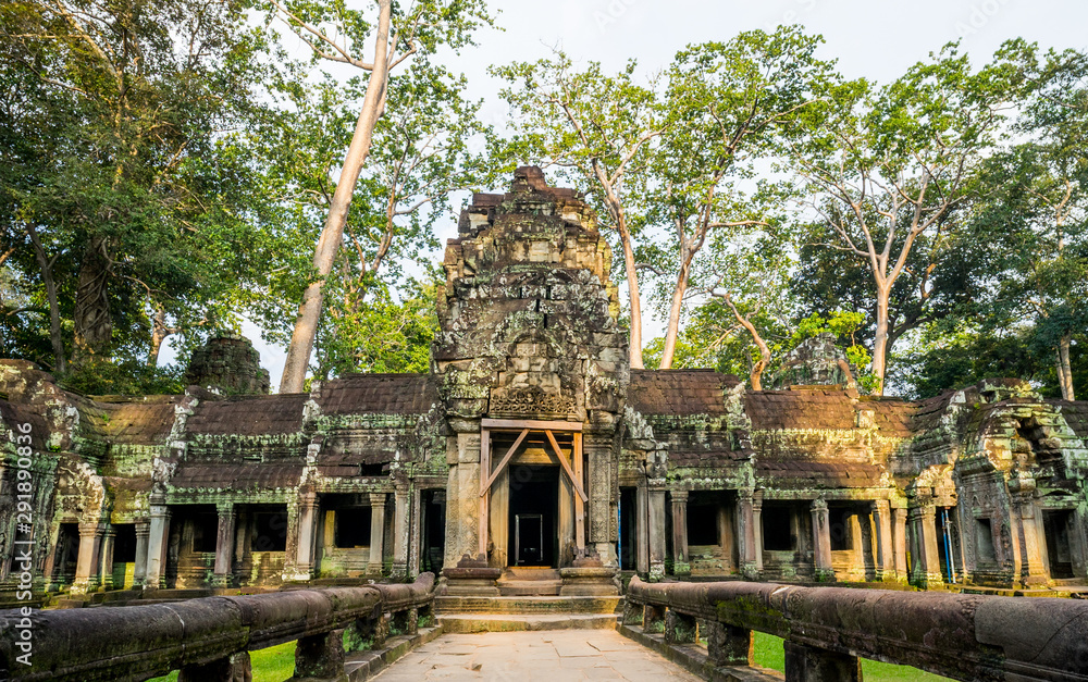 Fototapeta premium Ancient religion temple with giant tree growing on the top in temple complex Cambodia