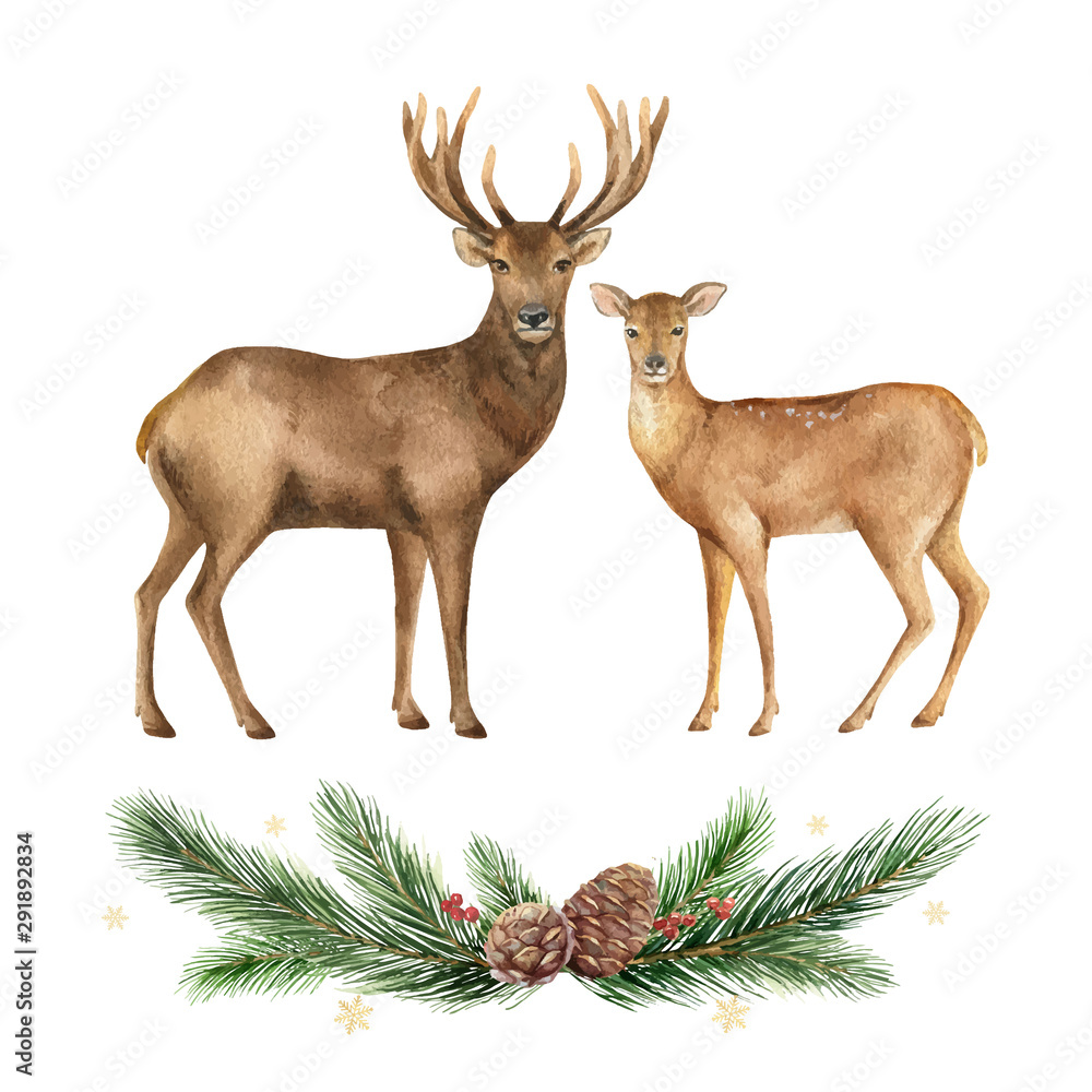 Obraz Boże Narodzenie wektor Renifery i wieniec z gałęzi jodłowych.