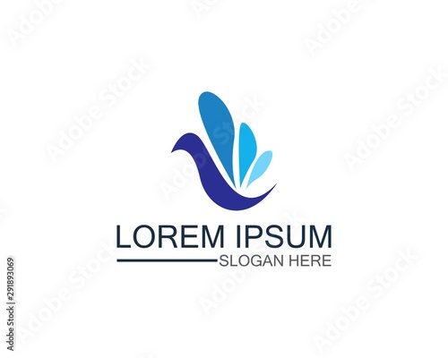 Bird logo template design vector, concept creative icon