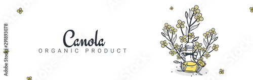 Rapeseed and canola oil banners. Nature Organic product.