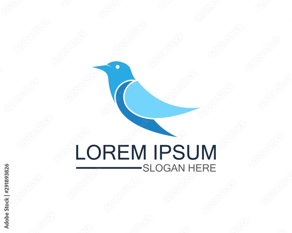 Bird logo template design vector, concept creative icon Bird logo template design vector, concept creative icon