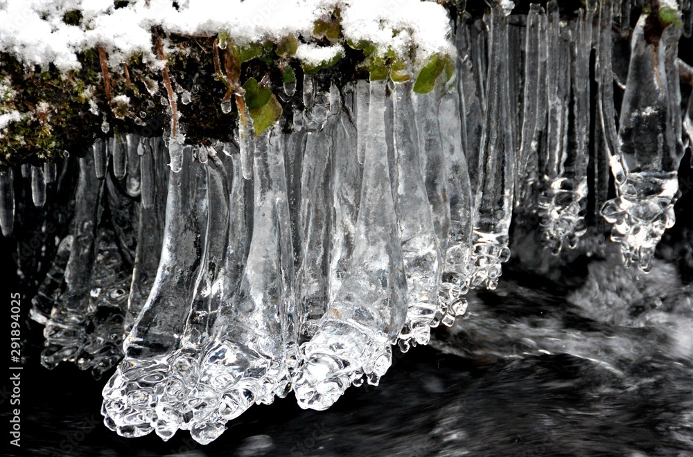 icicles on plants icicles on plants