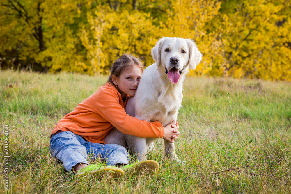 golden retriever sitting on field with girl golden retriever sitting on field with girl