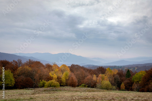 autumn landscape with trees and blue sky in the mountains.