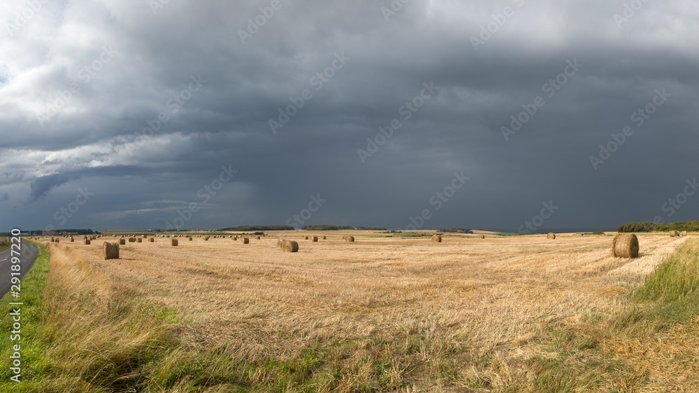 Hayfield and roles of hay against a dark sky with thunder clouds