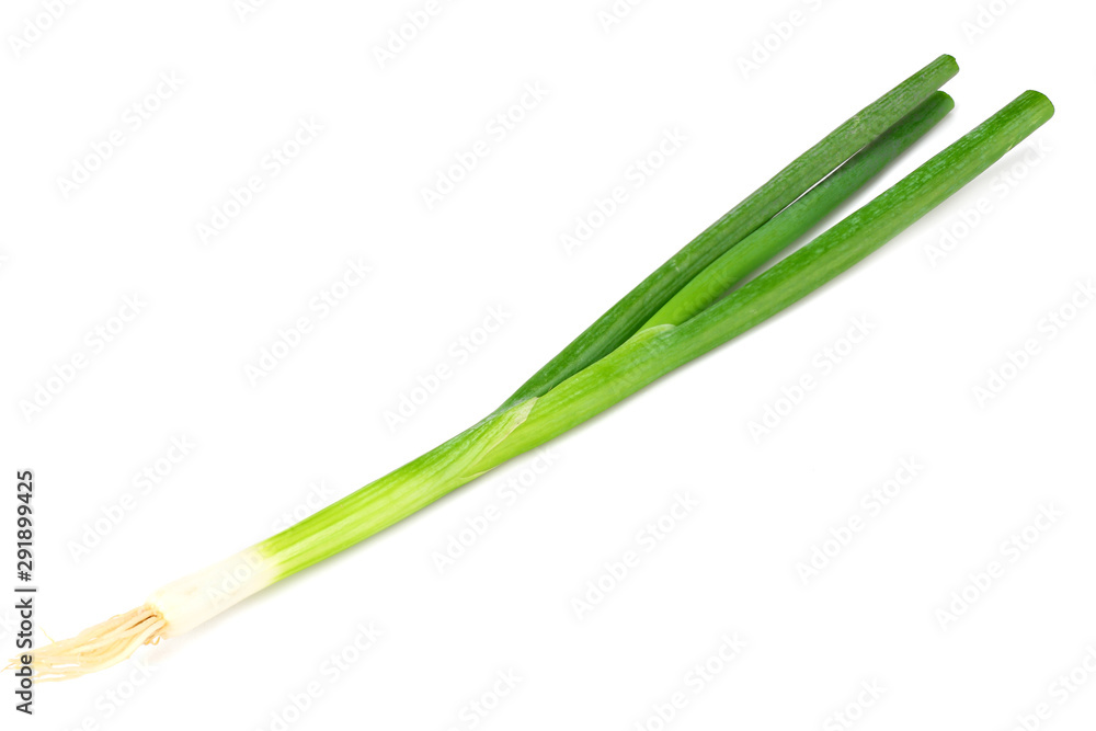 green onion isolated on a white background green onion isolated on a white background