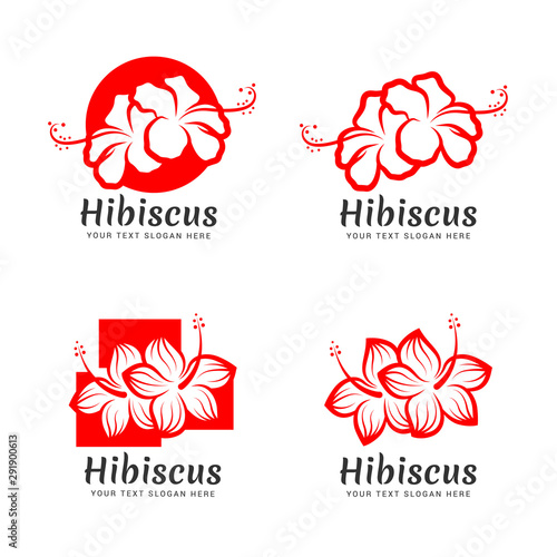 Red Hibiscus flower logo sign collection vector design