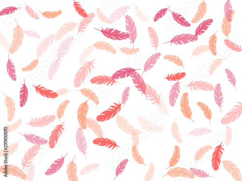 Fluffy twirled feathers on white design.