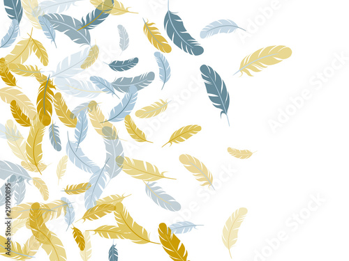 Falling feather elements soft vector design.
