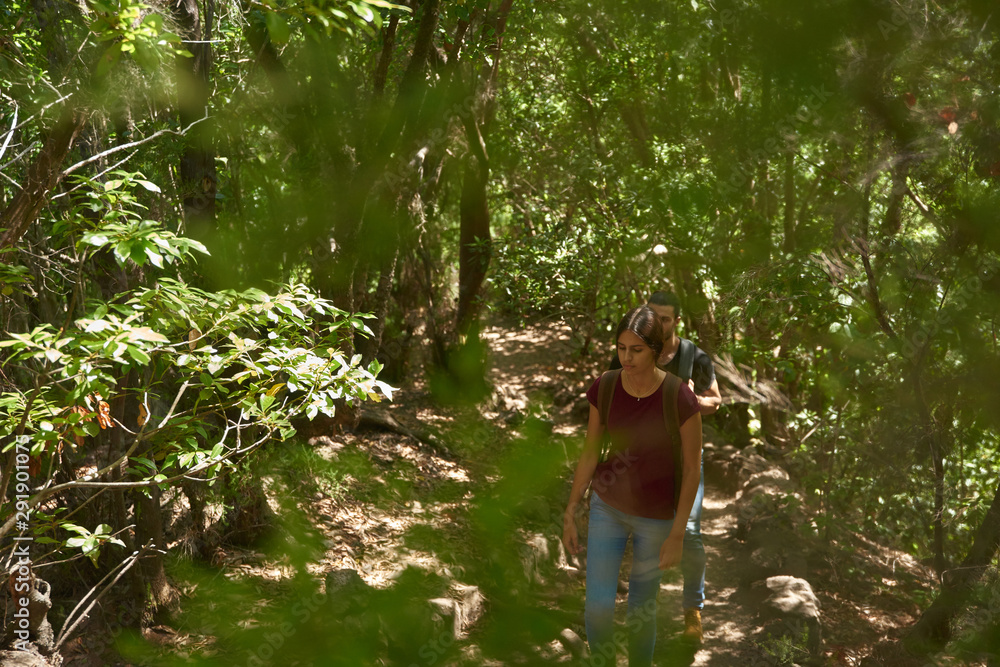 Fototapeta premium Young, attractive lady walks among trees