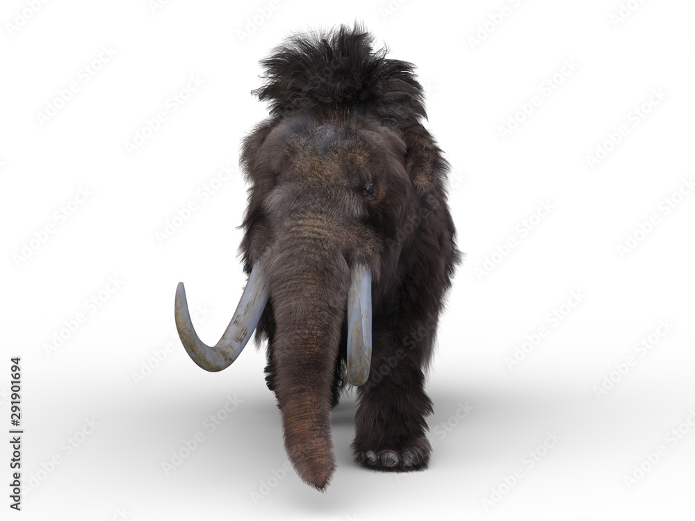 マンモス Stock イラスト Adobe Stock