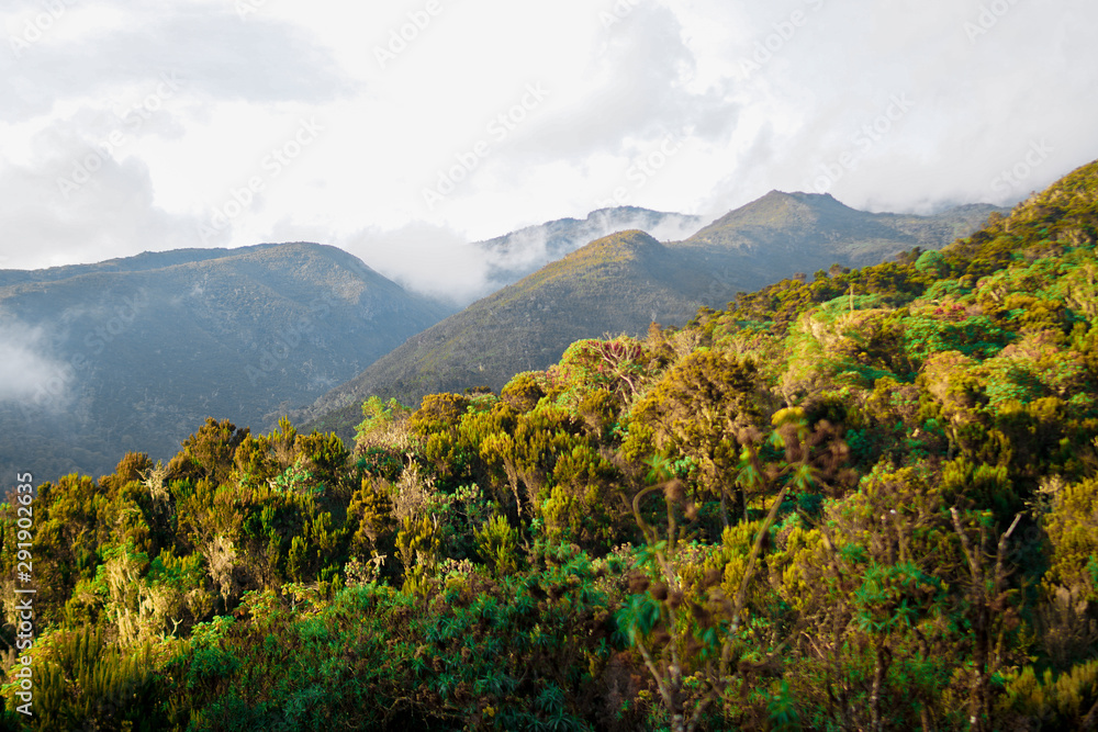 Landcape of Kilimanjaro