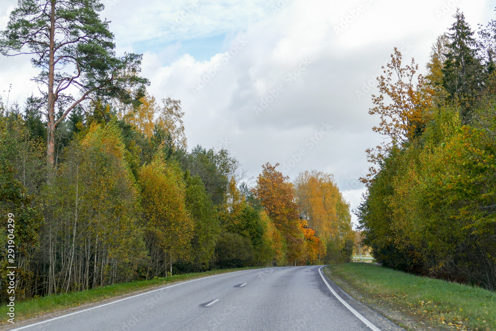 Fototapeta premium Autumn scene with winding asphalt road in the countryside. 