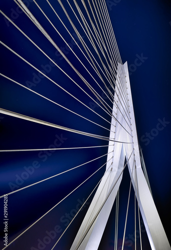 Rotterdam Erasmusbrücke Skyline Nacht