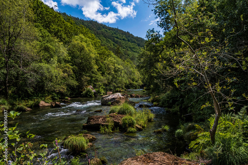 Arc natural Fragea de Eume  Galice  Espagne.