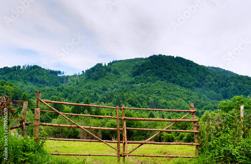 rustic wood log branch gate and green forest on hill in the background