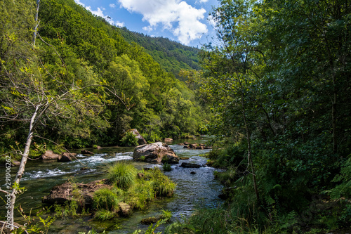 Arc natural Fragea de Eume  Galice  Espagne.