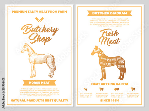 Butchery Shop Poster with Horse Meat Cutting Charts in Golden Colors on White Blackground. Vector Vertical Print Templates. Sketch Hand-drawn Farm Animal Illustration. Butchers Guide Diagram Design