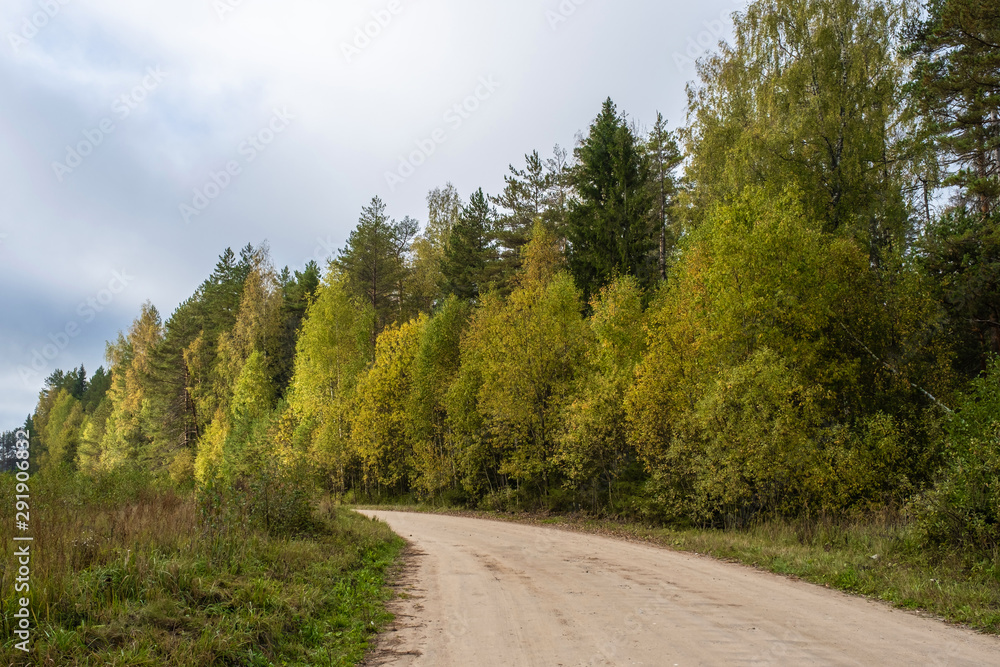 A wide dirt road among autumn trees with yellow leaves. A wide dirt road among autumn trees with yellow leaves.