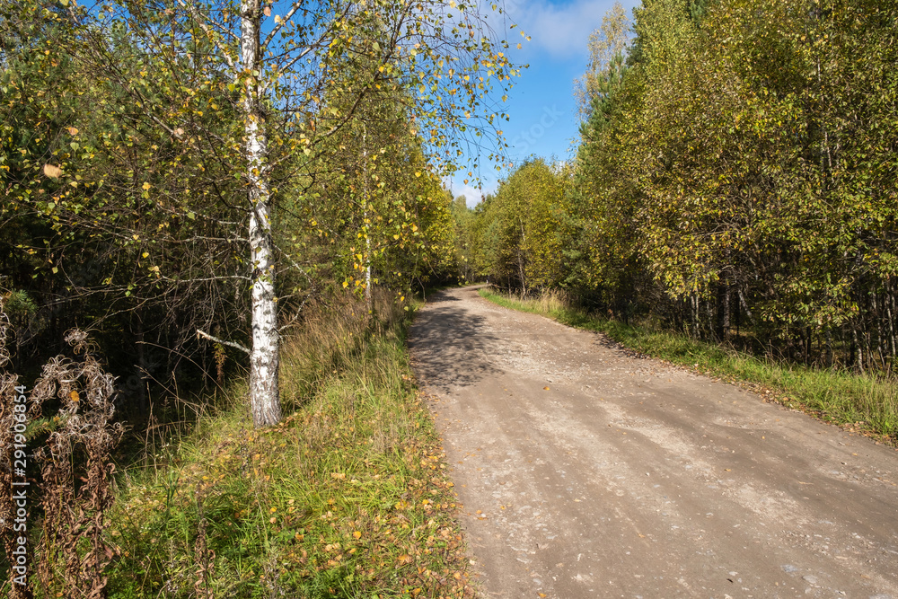 A wide dirt road among autumn trees with yellow leaves.