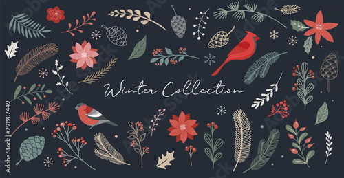 Botanical Christmas, Xmas elements, winter flowers, leaves, birds and pinecones isolated on white backgrounds. 