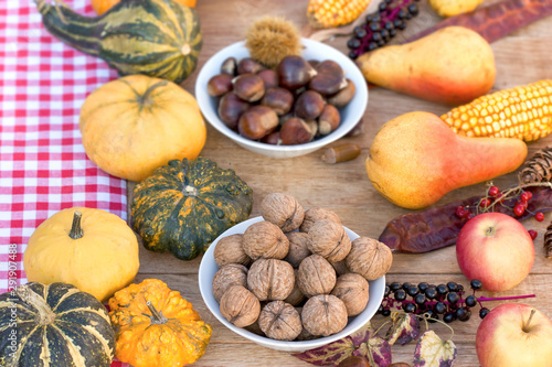 Autumn harvest , autumn crop on table - healthy food