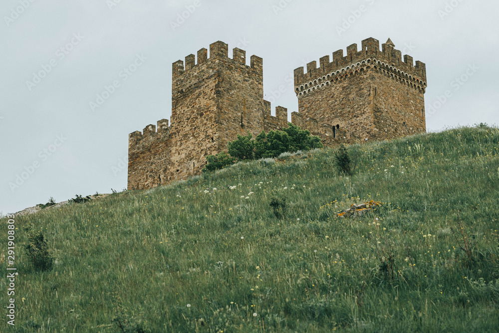 Ancient castle on the green hill