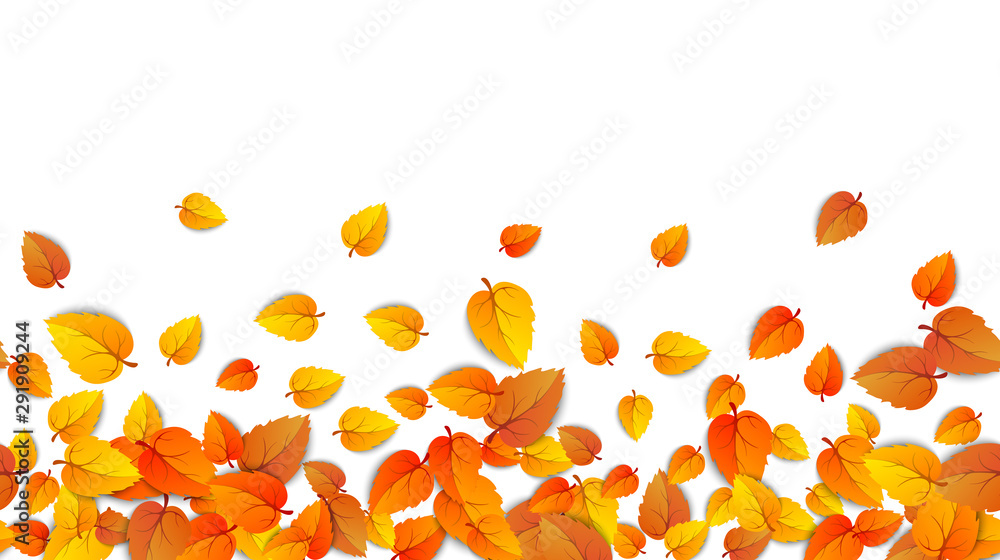 Seamless autumn leaves horizontal banner isolated on white background. Advertising template with golden autumn leaf. Fall season colors pattern. Autumnal nature foliage wallpaper frame. Vector