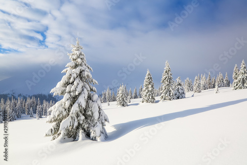 Beautiful landscape on the cold winter morning. Lawn and forests. Location place the Carpathian Mountains, Ukraine, Europe.