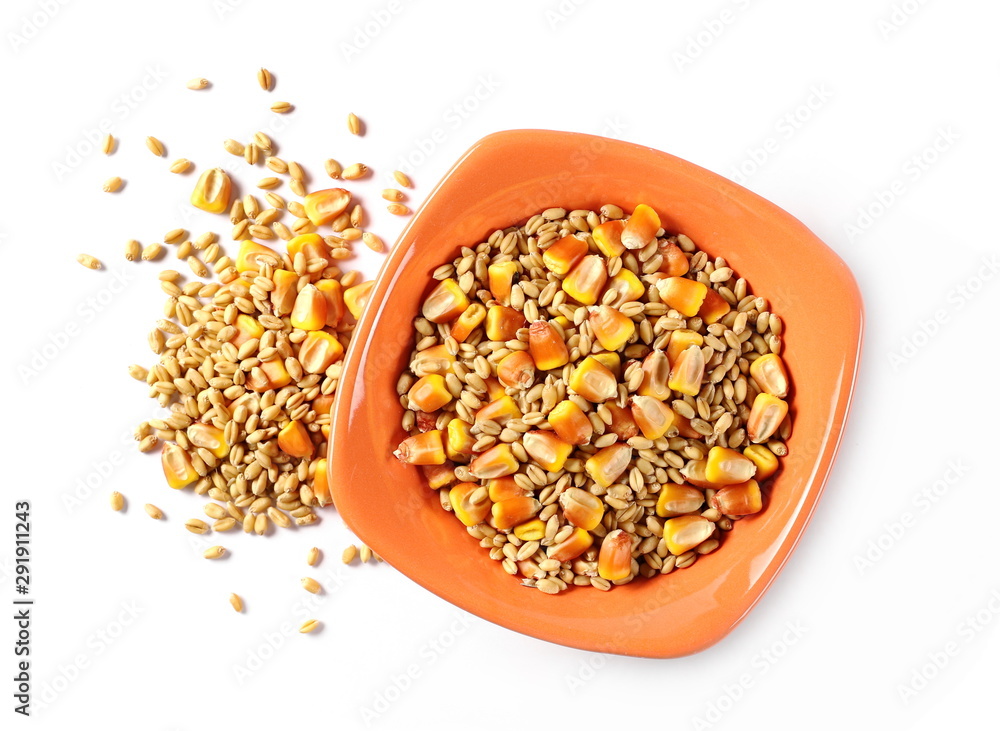Wheat grains and yellow corn kernels in clay plate, bowl isolated on white background, top view Wheat grains and yellow corn kernels in clay plate, bowl isolated on white background, top view