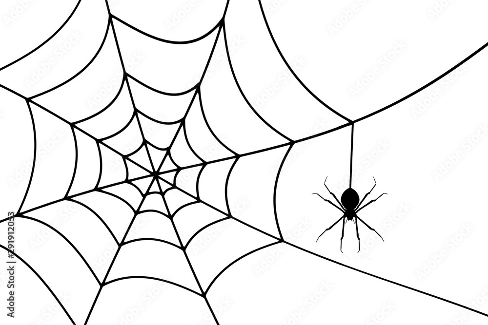 Halloween Concept background with a spider are making webs. Halloween Concept background with a spider are making webs.