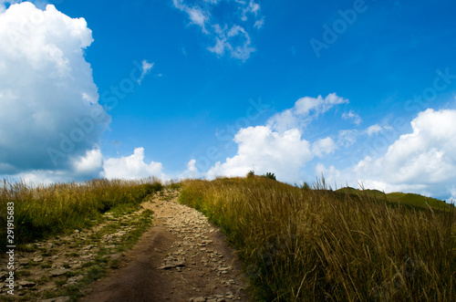 Fototapeta Naklejka Na Ścianę i Meble -  Bieszczady_2019