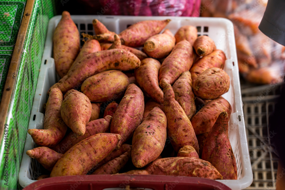 Sweet Potatoes Farm fresh - Beautifully displayed in market Sweet Potatoes Farm fresh - Beautifully displayed in market