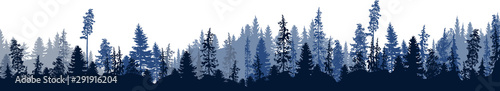 dark blue fir forest stripe isolated on white