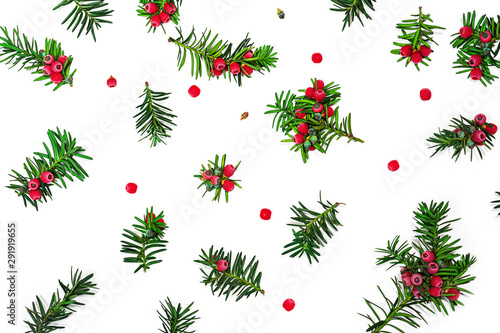 Christmas fir branches with red berries background