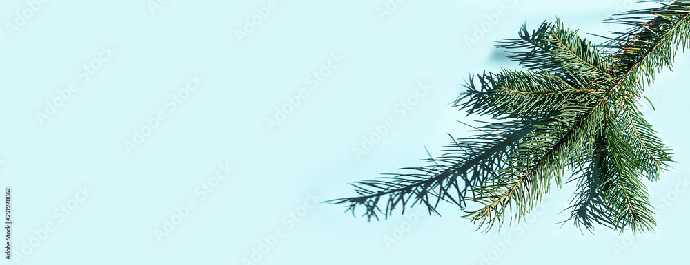 Christmas fir tree branches and shadows on blue.