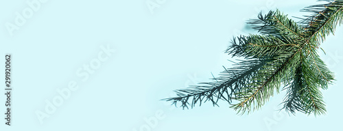Fototapeta Naklejka Na Ścianę i Meble -  Christmas fir tree branches and shadows on blue.