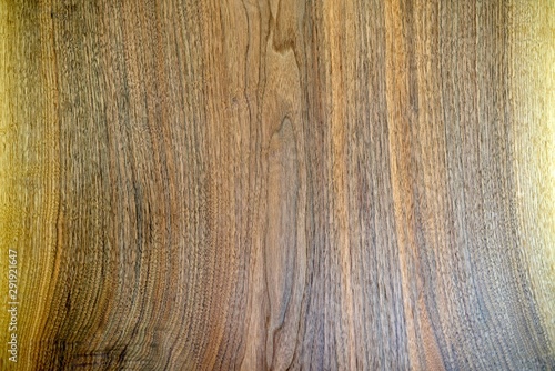Texture Background of Wooden Wood